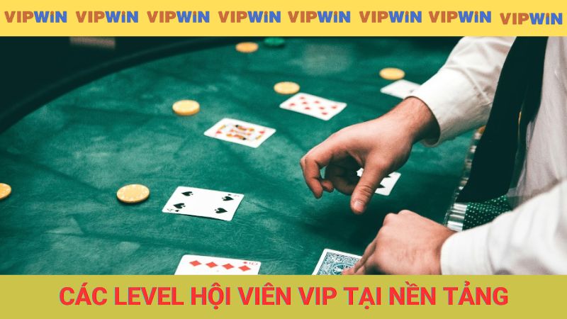 Các level hội viên VIP tại nền tảng
