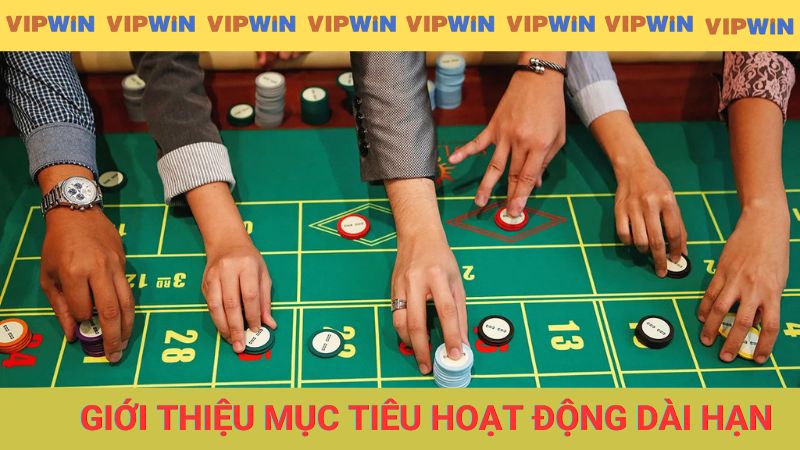 Giới thiệu mục tiêu hoạt động dài hạn của VIPWIN